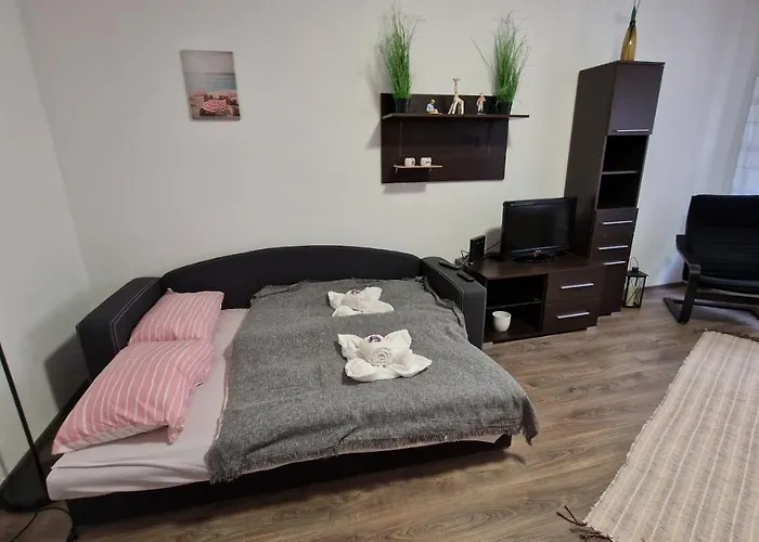 Perfect Located Flat With Gametable